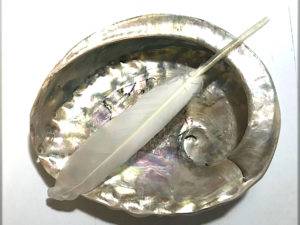 5-inch-abalone-shell-with-feather