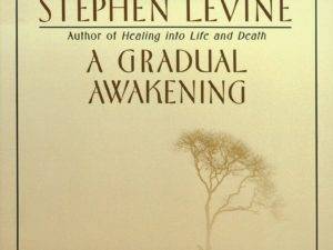A Gradual Awakening