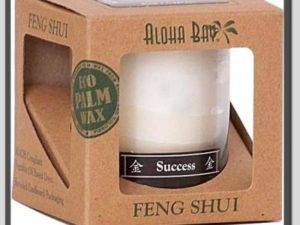 Feng Shui Success Cancle
