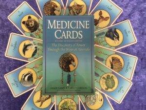Medicine Cards Divination System