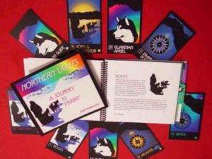 Northern LIlghts Chakra Cards book and deck