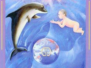 Dolphin Dreams cd