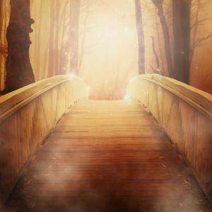 wood bridge into the light