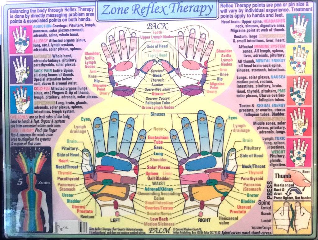 zone reflexology hand laminated chart