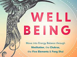 Well-Being book by Jill Henry, ownerr of Mountain Valley Center and the Labyrinth Park
