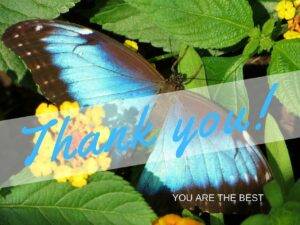 Thank you butterfly